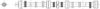 RENAU 7700694279 Camshaft